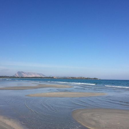 Hotel Al Faro ,Spiaggia La Cinta ,San Teodoro San Teodoro (Sardinia) Esterno foto