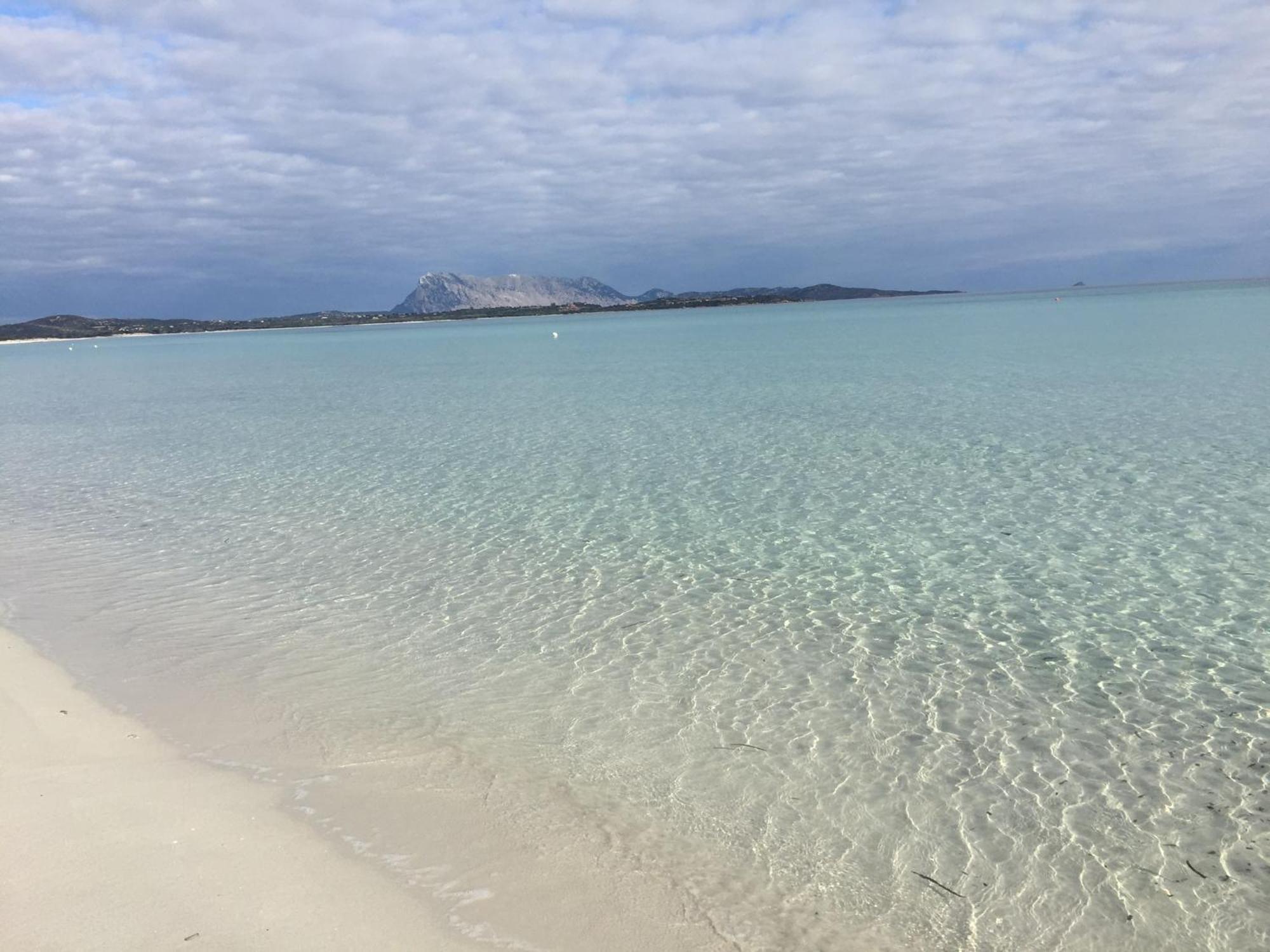 Hotel Al Faro ,Spiaggia La Cinta ,San Teodoro San Teodoro (Sardinia) Esterno foto